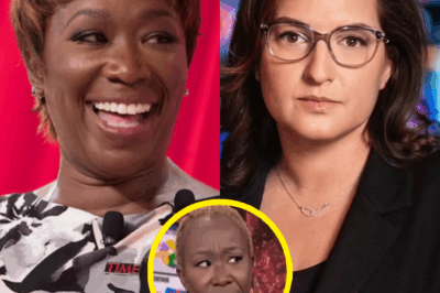 Joy Reid Didn’t Walk Away—She Was Removed Quietly and Abruptly, And the Real Reasons Are Only Now Coming to Light
