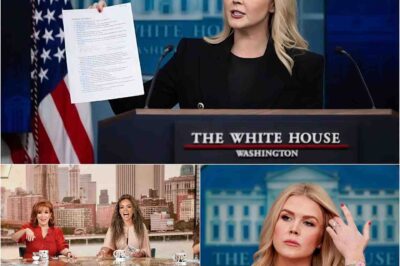 Karoline Leavitt has filed a shocking lawsuit against the hosts of “The View,” demanding the show be immediately shut down after they publicly humiliated her on air, coupled with the harsh accusation: “The worst program in American history.”