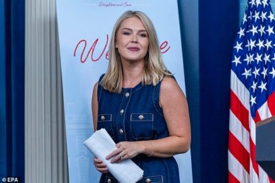 Karoline Leavitt Faced Off with Gabe Gutierrez in a Fiery Briefing Exchange—But It Was Her Final Line That Left the Room Silent
