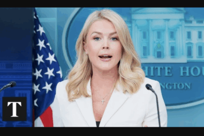 THIS JUST HAPPENED: Something Unfolded on Live TV After Karoline Leavitt Was Challenged—And the Fallout Was Immediate