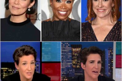 Rachel Maddow drove fans wild after delivering an emotional and powerful speech about her network following the cancellation of shows hosted by her colleagues Joy Reid, Alex Wagner, and Katie Phang.