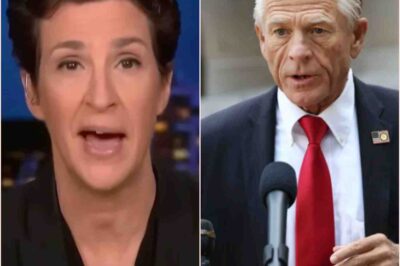 Rachel Maddow just exposed how Peter Navarro invented a fake expert—Ron Vara—and what she uncovered on live TV is stranger than fiction.
