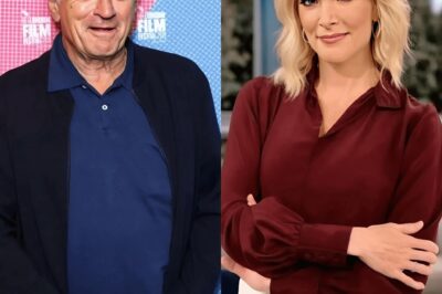 Robert De Niro’s 8-Word Reply STUNS the Studio After Megyn Kelly’s Brutal Insult—And the Freeze That Followed Said It All