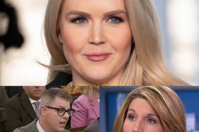 MSNBC Host Loses Composure After Karoline Leavitt’s Subtle Response: A 17-Word Shift That Stunned Live TV—and Left Viewers Speechless