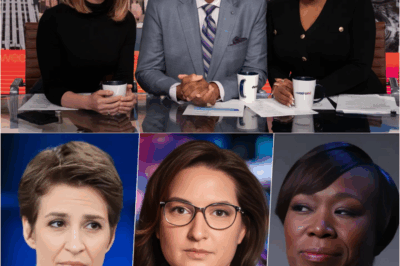 MSNBC’S SHOCKING SECRET: Ratings COLLAPSE & The ‘Purge’ After Maddow’s On-Air Slip!