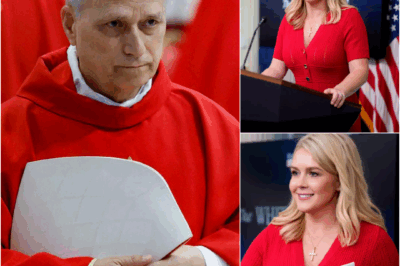 JUST IN: Karoline Leavitt DROPS A BOMBSHELL on First American Pope—One Line From the Podium Sends Religious Into TOTAL MELTDOWN Over His “Surprising” Social Media Past