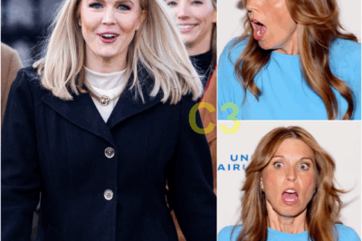 Fans are losing their minds after Karoline Leavitt reacted violently to veteran MSNBC host Nicolle Wallace, but when the reason was exposed, no one doubted it anymore.