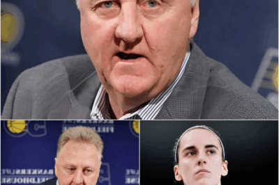 SHOCKING MOVE: Larry Bird is no longer staying silent! Just one sentence from Larry Bird… and the WNBA cracked wide open from its very core. Live on air, he turned straight to the camera and said: “The truth is… they’re afraid of her!”