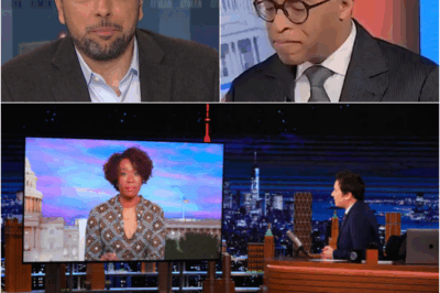 The real reason MSNBC axed THREE other veteran stars’ shows after Joy Reid’s brutal firing, and it just might confirm all the rumors