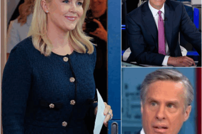 LIVE TV DRAMA: Reporter KICKED OFF AIR AND FIRED AFTER INSULTING Karoline Leavitt—What Happened Next Has Everyone Talking