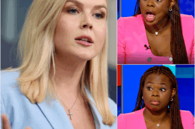 Fans are losing their minds over Karoline Leavitt’s four-word refined comeback in a fiery exchange that left theformer CNN reporter pale.—yet the public’s reaction only intensified after the truth behind it was finally exposed.