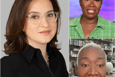 Joy Reid Breaks Her Silence for the First Time, Confirming the Real Reason She Was Brutally Fired From MSNBC at the Peak of Her Career, But When the Truth Behind It Was Finally Exposed, No One Had Any Doubts Left