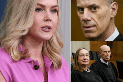 Federal judge James Boasberg and his wife lost their temper when Karoline Leavitt exposed everything with bold never-before-published evidence, the biggest surprise is finally confirmed1.