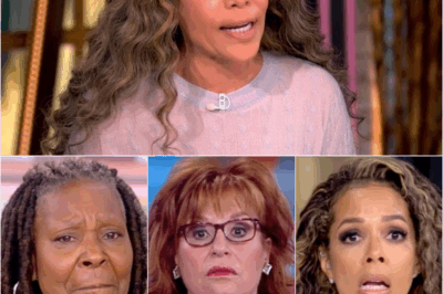 MEDIA EARTHQUAKE: The View Hosts Scramble After ABC Issues Sudden Warning Behind Closed Doors