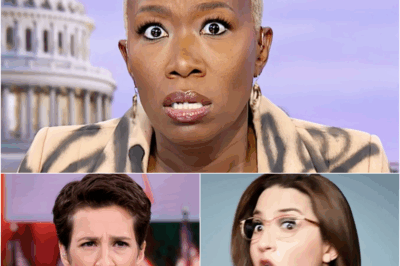 Something Suspicious Happened To MSNBC as stars fled and millions of fans turned away, but the desperate move to save the day confirmed all suspicions.123