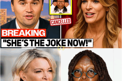 Whoopi Goldberg Couldn’t Recover After Charlie Kirk and Megyn Kelly’s Cold Reality Check—The Moment Her Smile Vanished Is Now It Off Only Made It Worse
