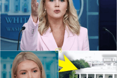 Karoline Leavitt Breaks Her Silence After Sunday’s Live Debate Collapse—And the Biggest Surprise Is Finally Confirmed