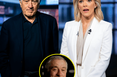 The Power of Restraint: How Robert De Niro Silenced Megyn Kelly on Live TV Without Raising His Voicee