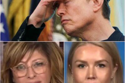 SHOCKING REVELATION: White House Press Secretary Tries to Deflect Tough Question About Musk’s Bizarre Confrontation
