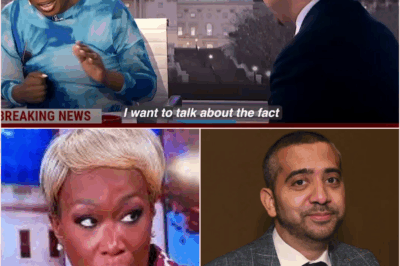 “They Wanted to Silence Me” — Joy Reid Breaks Down in Shock Interview After Being Abruptly Fired Live on Air In front of a stunned Zeteo audience, Joy Reid revealed the jaw-dropping truth behind her sudden MSNBC firing—right in the middle of hosting, without warning. Her raw admission left the room silent as she accused top executives of trying to erase her voice. What exactly triggered the network to pull the plug so publicly—and so brutally? The moment has now sparked outrage, support, and a firestorm of speculation.