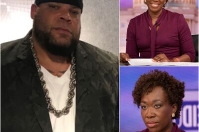 He Said Just 8 Words — And Joy Reid Froze on National TV. The Most Brutal Clapback in Cable News History Just Happened… and No One at MSNBC Was Ready for It.