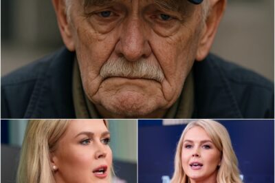 Bank rejects elderly veteran’s plea—then Karoline Leavitt steps in and what happens next stuns the entire communitty