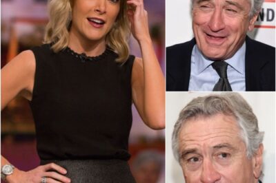 BREAKING: Robert De Niro Silences Megyn Kelly Live On Air With Eight Chillling Words—Fans Say They’ve Never Seen Her So Speechless.