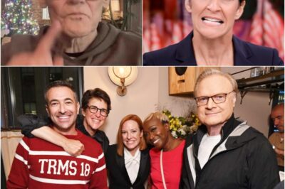 MSNBC Faces Revolt After Rachel Maddow’s Emotional Rebuke—What Happened Behind Closed Doors Left Executives Scrambling