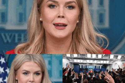 In a stunning break from tradition, Karoline Leavitt made the White House press team lose their composure with a big statement they never dared to think of, and it just might confirm all the rumors