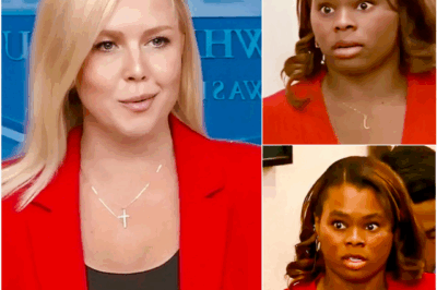 BREAKING: Karoline Leavitt Brutally Exposes Reporter Over L.A. Ri0t Lies — What Happened Next Has the Internet in Shock