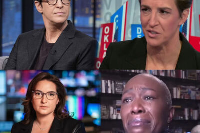 Rachel Maddow felt uneasy when she suddenly recognized that the entanglement with MSNBC’s new boss had come to light, and the harsh reality that unfolded once again confirmed our suspicions.