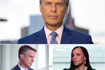 How Just 37 Words Ended Terry Moran’s 28-Year Career and Set Off a Firestorm at ABC News