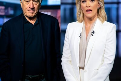 Robert De Niro’s 8-Word Reply STUNS the Studio After Megyn Kelly’s Brutal Insult—And the Studio Froze as Megyn Kelly Faced an Unbearable, Unforgettable Reaction on Live TVV