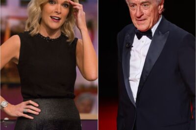 BREAKING: Robert De Niro Silences Megyn Kelly Live On Air With Eight Chilling Words—Fans Say They’ve Never Seen Her So Speechless.