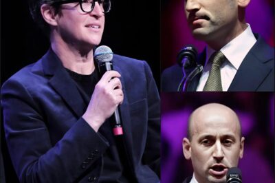 Clip Rachel Maddow DESTROYS Stephen Miller Goes Viral — Then MSNBC Quietly Erases the One Part Everyone Was Talking About