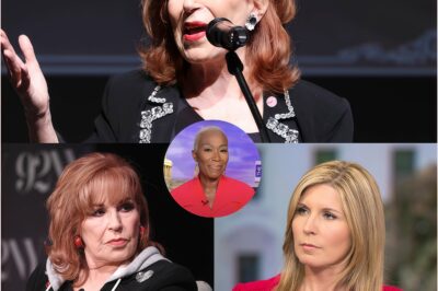 “WHY DARE YOU MUTE HER FOR?” — Joy Behar makes a surprise return, berating MSNBC live and BREAKING THE SHOW OFF after exposing the conspiracy behind Joy Reid’s firing.