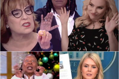Karoline Leavitt Just Made It Irreversible — $800 Million Lawsuit Shakes ‘The View’ to Its Core, and Someone’s About to Be Taken Off the Air