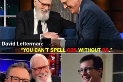 No Studio. No Filter. No Mercy — David Letterman’s Quiet Response to CBS Just Changed the Way People See Colbert’s Exit