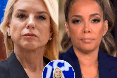 “YOU BLINK LIKE TRUTH GIVES YOU ALLERGIES.” Pam Bondi Stuns Sunny Hostin in Unforgettable Clash — And the One Moment No One Saw Coming Left the Whole Panel Frozen