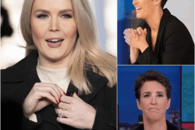 “THAT POSTURE DESERVES A BETTER ARGUMENT UNDERNEATH IT.” Rachel Maddow Opens With a Cold Jab — But Karoline’s Response Uncovers a Tension Maddow Wasn’t Ready to Face On Air