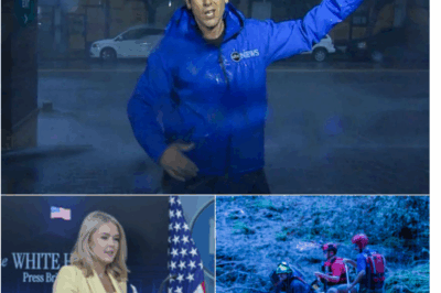 DAVID MUIR, YOU CAN’T FACE GRIEF — Karoline Mocked Him Brutally, But the Truth Behind His Disappearance Made Her Reaction the Most Surprising Thing Confirmed Yet