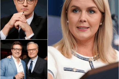 Chris Hayes tried to embarrass Karoline Leavitt with one sentence, but her unscripted comeback exposed something even his team didn’t want aired.