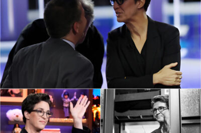 Rachel Maddow’s Quiet Rebellion: Inside Her Secret Plan to Break Free from MSNBC and Reiinvent the Future of Journalism