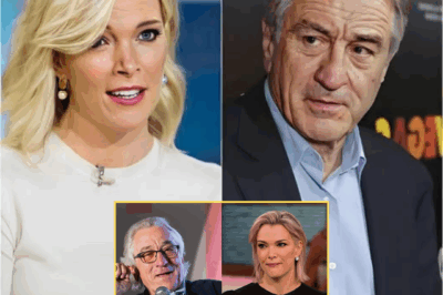 ON-AIR STANDOFF: Robert De Niro’s Ice-Cold Response Leaves Megyn Kellly Speechless