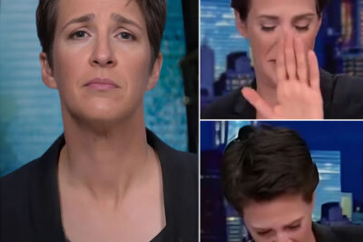 The Night Rachel Maddow Broke Down: When News Became Too Human to Read And Why That Silence Still Screams in 2025