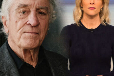 “I Don’t Care What You Think of Me.” Robert De Niro Drops 8 Cold Words That Shatter Megyn Kelly On Live TV — And America Can’t Stop Rewatching It