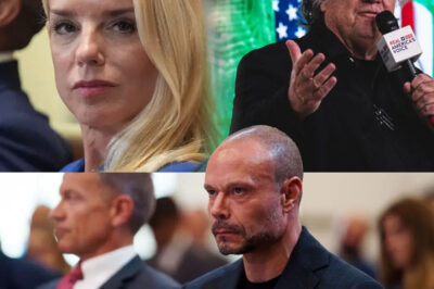 The outrage didn’t come from the media. It came from the movement. Pam Bondi once promised the truth was on her desk. Now, as the Epstein firestorm reaches a boiling point — even her strongest allies are demanding answers.