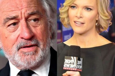 “I Don’t Care What You Think of Me.” Robert De Niro Drops 8 Cold Words That Shatter Megyn Kelly On Live TV — And America Can’t Stop Rewatching It