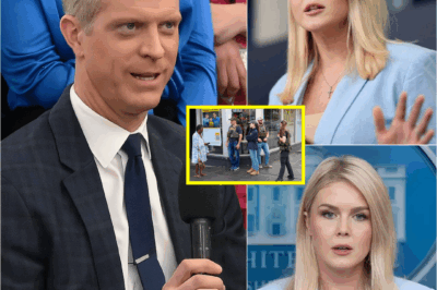 “We’re Not Cleaning the Streets — We’re Erasing the People.” — Karoline Leavitt Tries to Attack Jasmine Crockett, But Garrett Haake Shatters Her Confidence With a Single Fact at the White House Podium