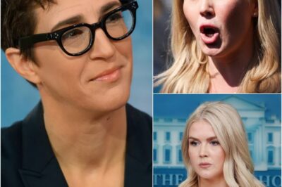 “And You — Think You Have the Standing?” Rachel Maddow’s One-Line Reversal That Froze Karoline Leavitt on Live TV